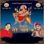 Deewane Tere Naam Ke - Krishna Sharma Song Download